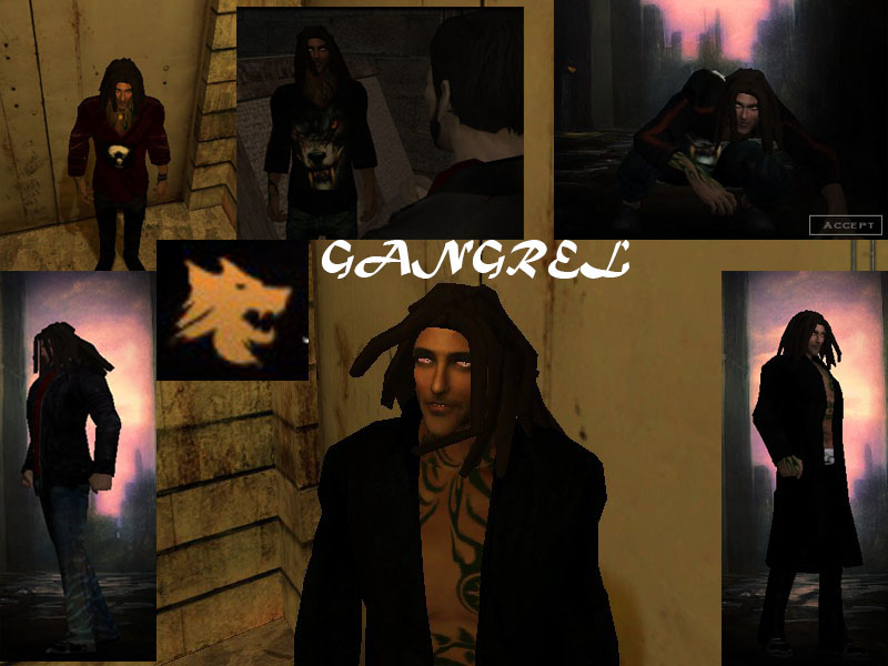 Preview of the Outfit