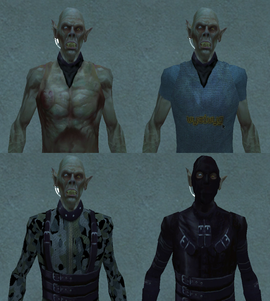 Preview of the Outfit